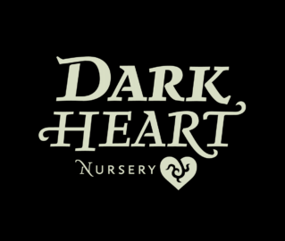 Eric Rosen Dark Heart Nursery, Clones, Pheno Types, Strainiology, Covid-19 Episode 29